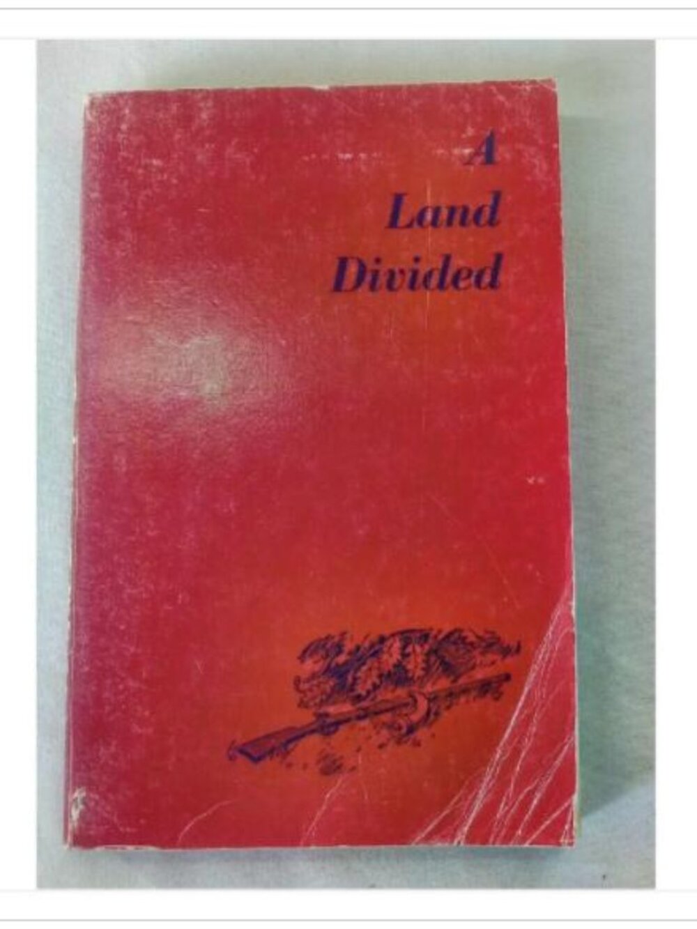 A Land Divided John F. Hayes 1951 Paperback Book Vintage Novel Read Classic
